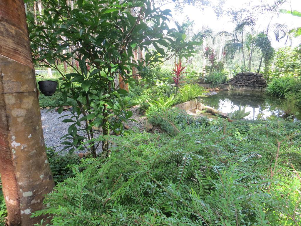 فندق Manora Garden بانغا - نغا المظهر الخارجي الصورة